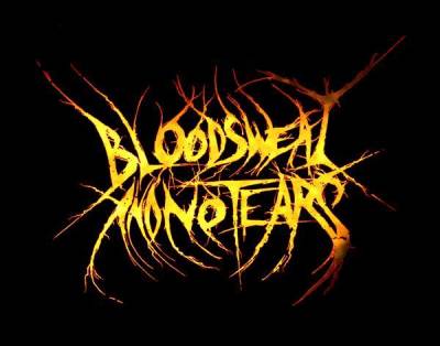 logo Blood Sweat And No Tears